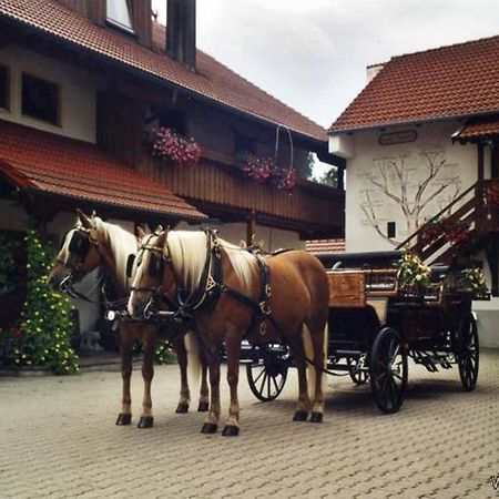 Appartementhaus Haflinger Hof Bad Füssing Exterior foto