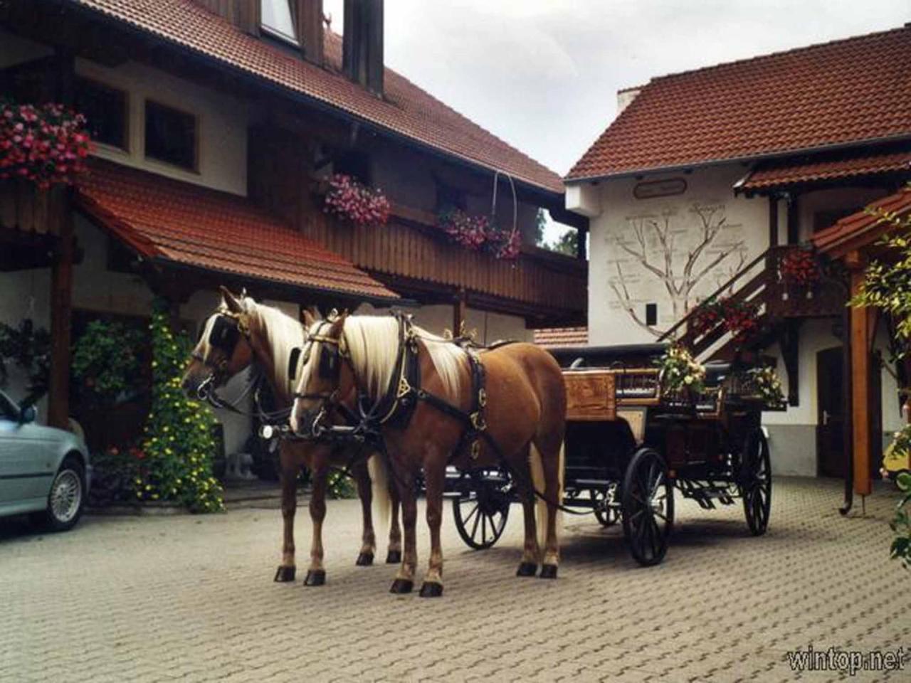 Appartementhaus Haflinger Hof Bad Füssing Exterior foto